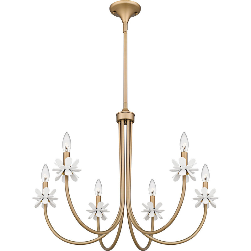 Quoizel REY5030BGD Six Light Chandelier, Bronze Gold
