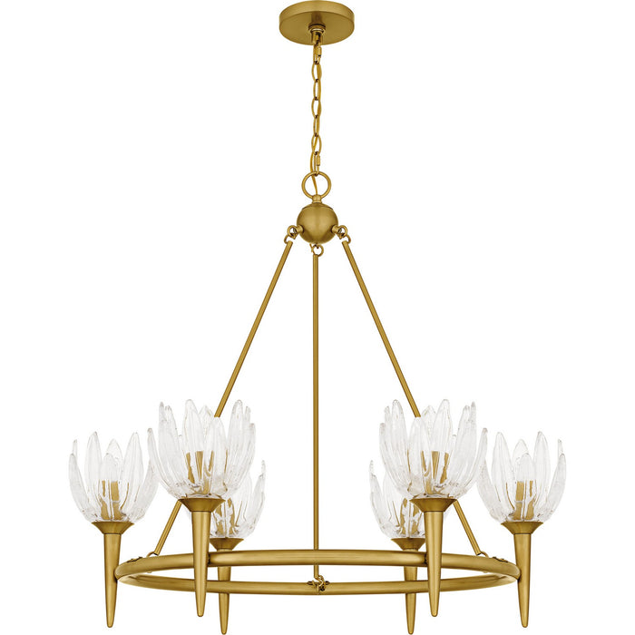 Quoizel SHA5032BRG Six Light Chandelier, Brushed Gold