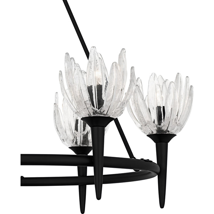 Quoizel SHA5032MBK Six Light Chandelier, Matte Black