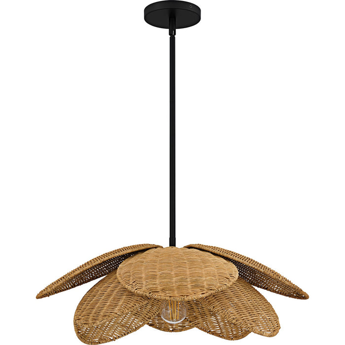 Quoizel WLL2822MBK One Light Pendant, Matte Black