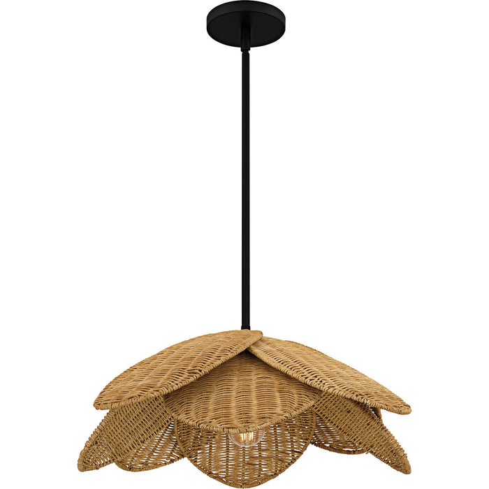 Quoizel WLL2822MBK One Light Pendant, Matte Black
