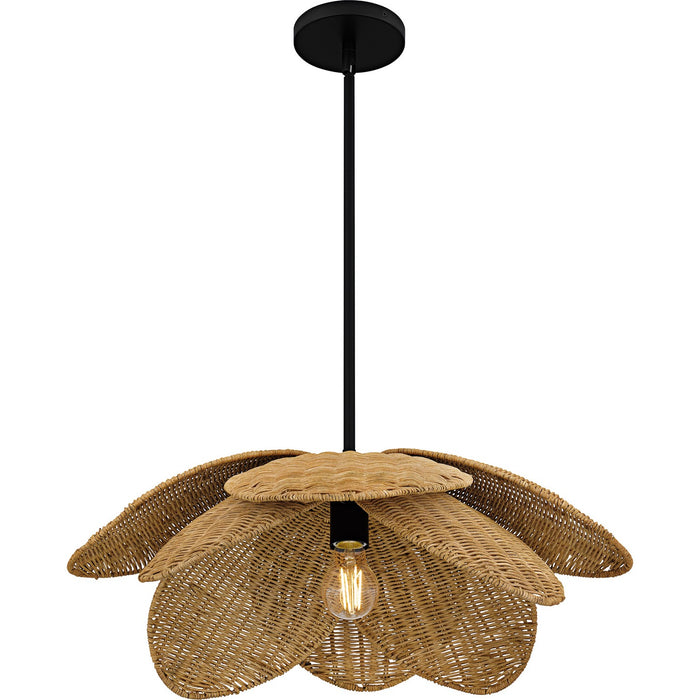 Quoizel WLL2822MBK One Light Pendant, Matte Black
