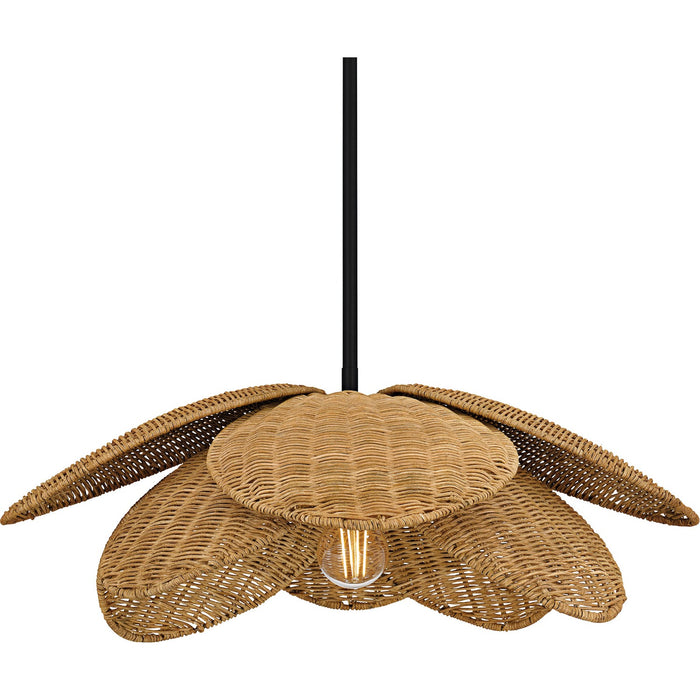 Quoizel WLL2822MBK One Light Pendant, Matte Black