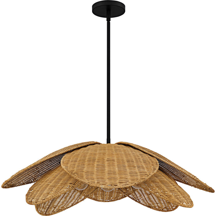 Quoizel WLL2830MBK Four Light Pendant, Matte Black