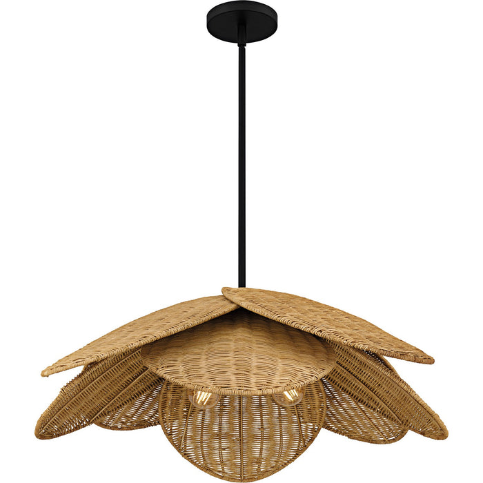 Quoizel WLL2830MBK Four Light Pendant, Matte Black