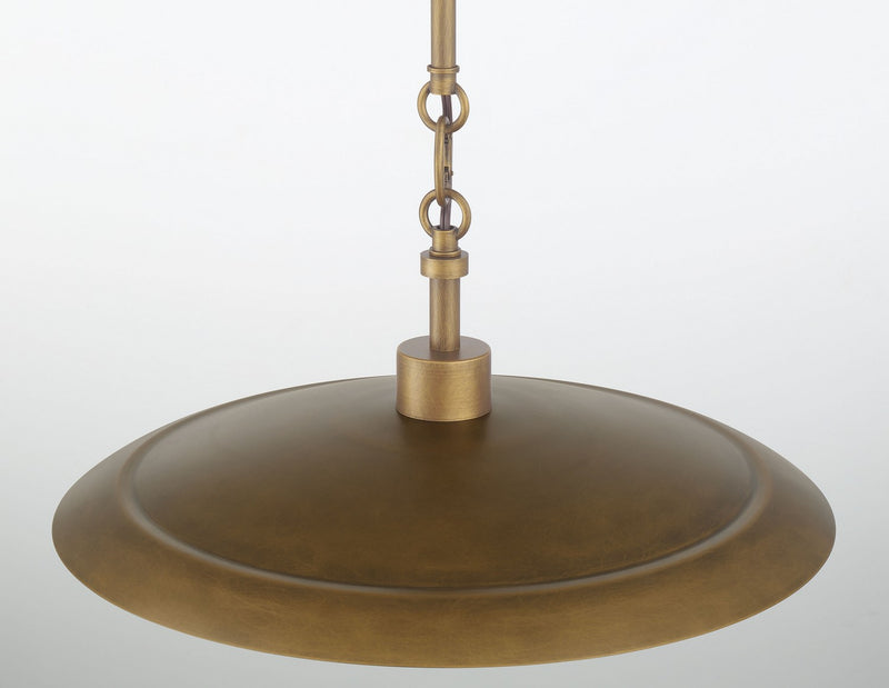 Minka-Lavery 296-741 One Light Pendant, Natural Brass & Dark Matte Coa
