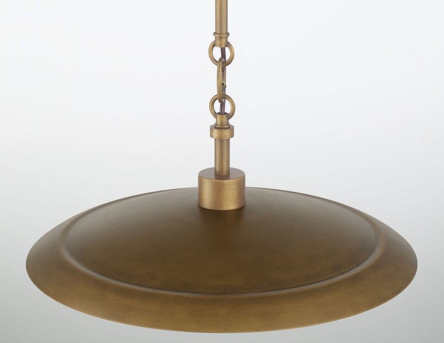 Minka-Lavery 296-741 One Light Pendant, Natural Brass & Dark Matte Coa