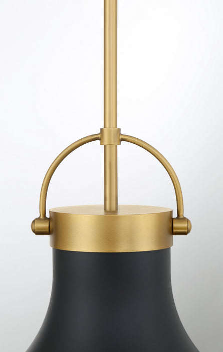 Minka-Lavery 3932-876 One Light Pendant, Legacy Brass & Matte Coal