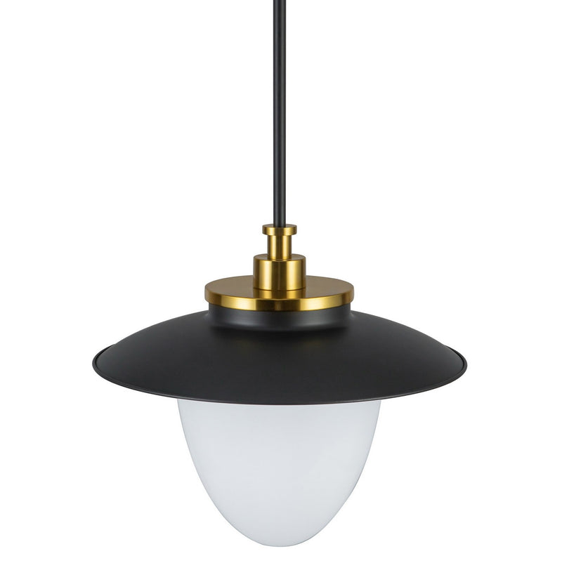 Artcraft AC11905BB One Light Pendant, Black
