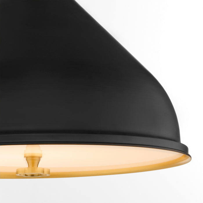 Quorum 6863-16-5980 One Light Pendant, Matte Black / Aged Brass