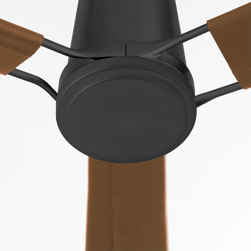 Cyan 11977 60" Ceiling Fan, Black