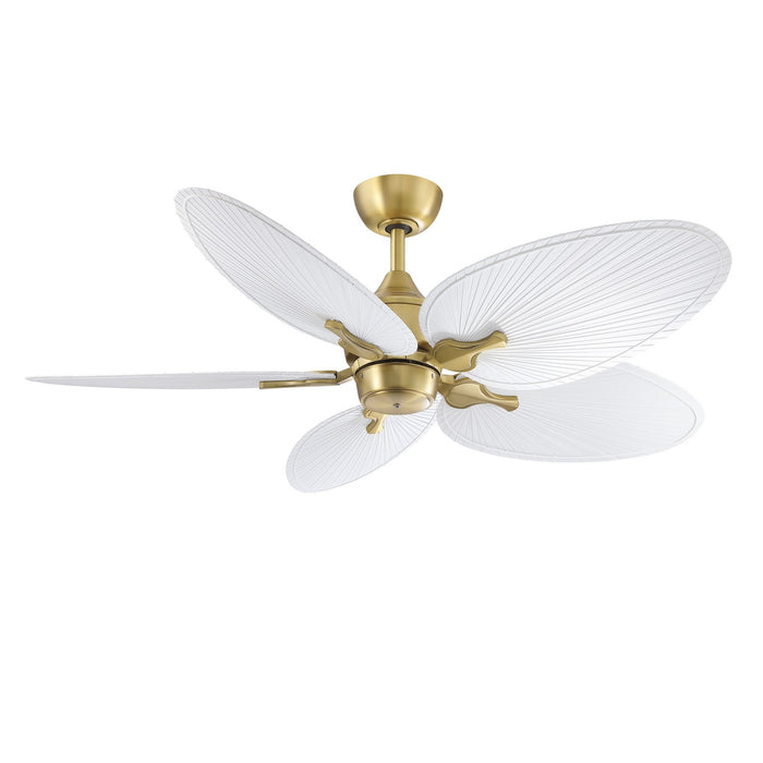 Fanimation MAD3250BS DC Motor, Brushed Satin Brass