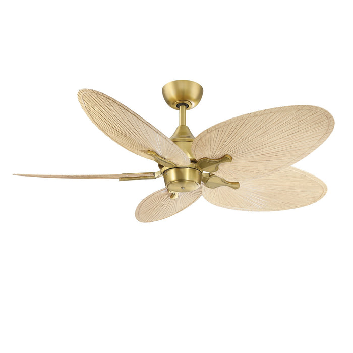 Fanimation MAD3250BS DC Motor, Brushed Satin Brass